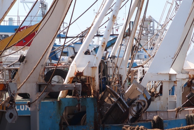 Dl Aiuti: 23 mln a Pesca contro caro gasolio, ok emendamento