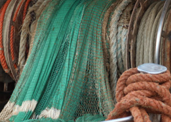 lotta alla pesca illegale