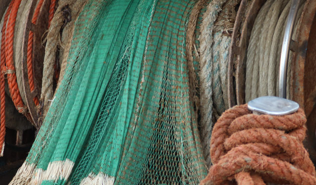 lotta alla pesca illegale