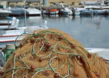 L’istituzione di una area protetta nel Canale di Otranto, non è l’unica strada per tutelare le risorse ittiche