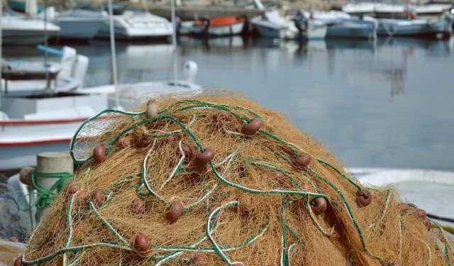 L’istituzione di una area protetta nel Canale di Otranto, non è l’unica strada per tutelare le risorse ittiche