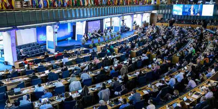 Un nuovo atlante globale - unico nel suo genere - analizza le opportunità e le sfide dell'uso di Sistemi di identificazione Automatica (AIS) per monitorare le attività di pesca in tutto il mondo