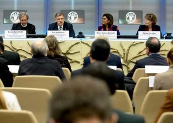 FAO, Vaticano e ILO insieme per la giornata mondiale della pesca 2019