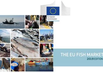Tutto ciò che c'è da sapere sul mercato Ue della pesca e dell'acquacoltura. EU fish market