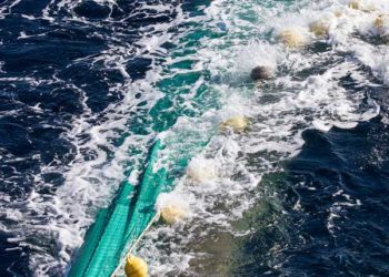 La Liberia entra nel mercato ittico europeo