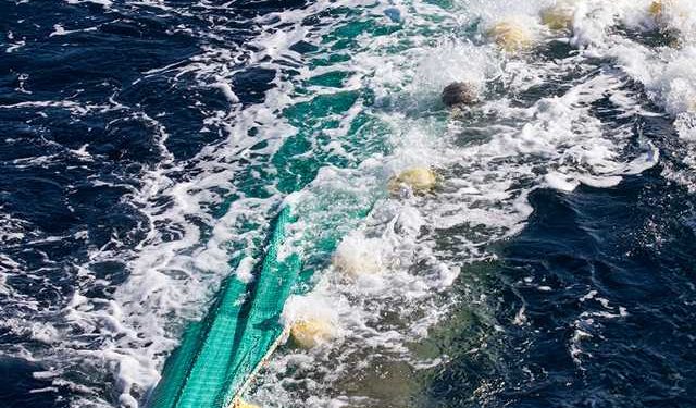 La Liberia entra nel mercato ittico europeo