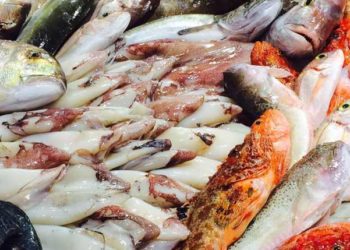 acquirenti di prodotti ittici