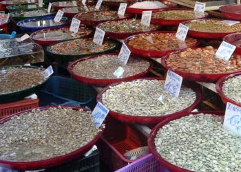 UNCI Agroalimentare. Crisi della pesca dei molluschi bivalvi