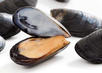 Nieddittas packaging green e sostenibile