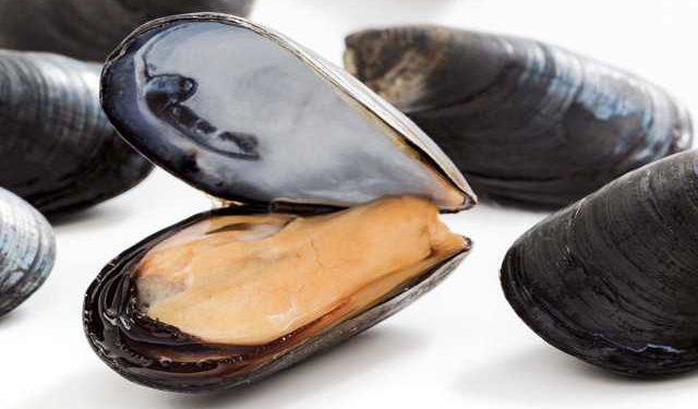 Nieddittas packaging green e sostenibile