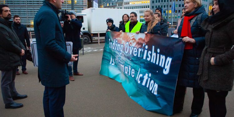 500.000 europei chiedono all'Ue di porre fine alla pesca eccessiva