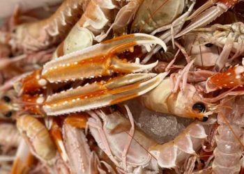 pesce protagonista sul 75% delle tavole di Natale