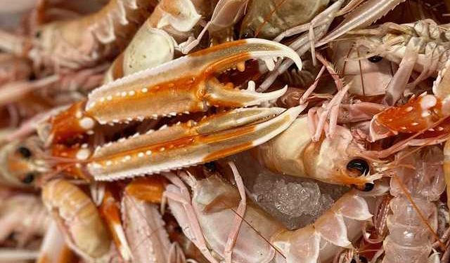 pesce protagonista sul 75% delle tavole di Natale