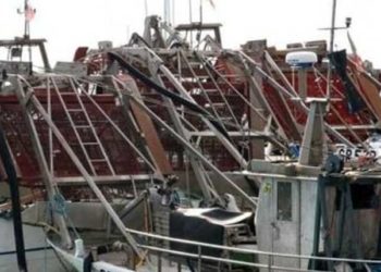 Ok da europarlamento a  taglia minima vongole di 22 millimetri