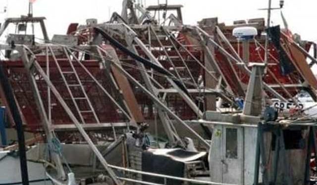 Ok da europarlamento a  taglia minima vongole di 22 millimetri