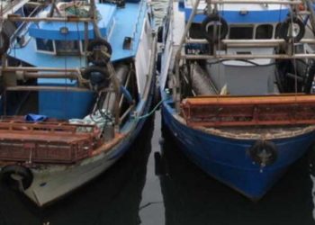 Vongole, bene via libera dal Parlamento Ue alla deroga per la pesca in Adriatico