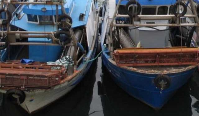 Vongole, bene via libera dal Parlamento Ue alla deroga per la pesca in Adriatico