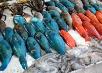 Mauritius pesca acquacoltura