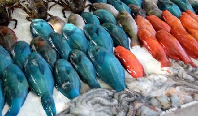 Mauritius pesca acquacoltura