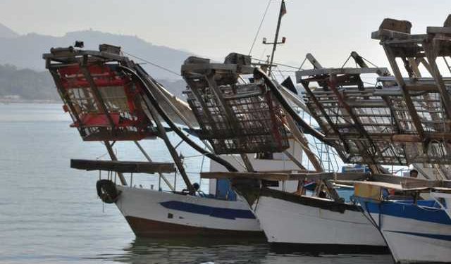 Le norme entrate in vigore nel 2009 non sono applicate in modo omogeneo in tutti i paesi europei