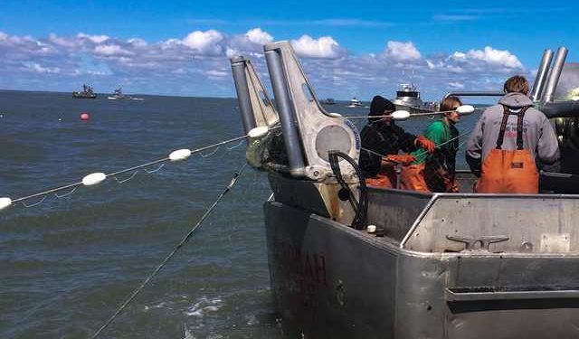 gestione della pesca