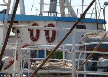 UGL Pesca: “Rivoluzionario l’aspetto sociale del Testo Unificato e le ulteriori opportunità da questo offerto”