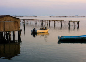 Vongole e cozze Sacca di Scardovari
