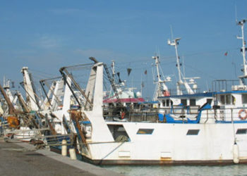 Marche, fermi i pescherecci. Le cause nell'impossibilità di rispettare le restrizioni anti coronavirus e il crollo del prezzo del pesce