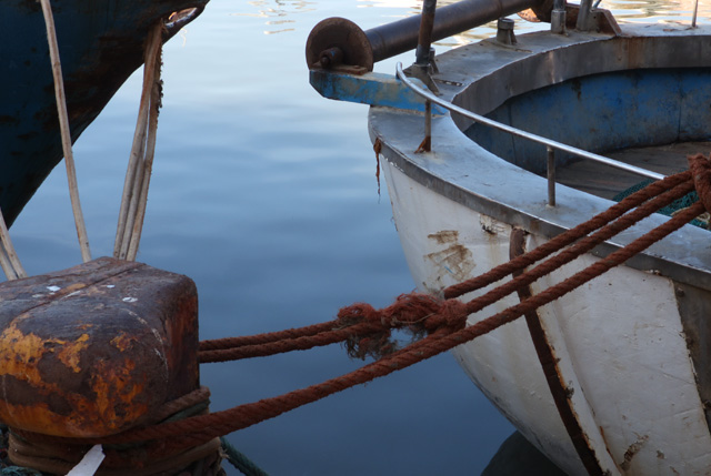Coldiretti Puglia, in affanno le marinerie; necessari sostegni al settore