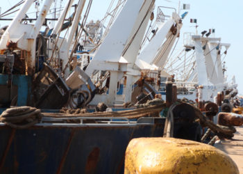 operatori di pesca acquacoltura