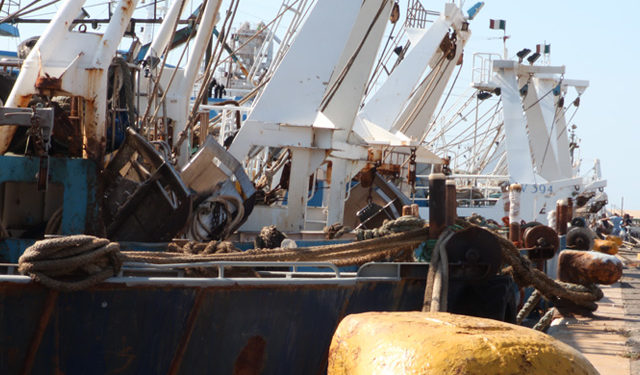 operatori di pesca acquacoltura