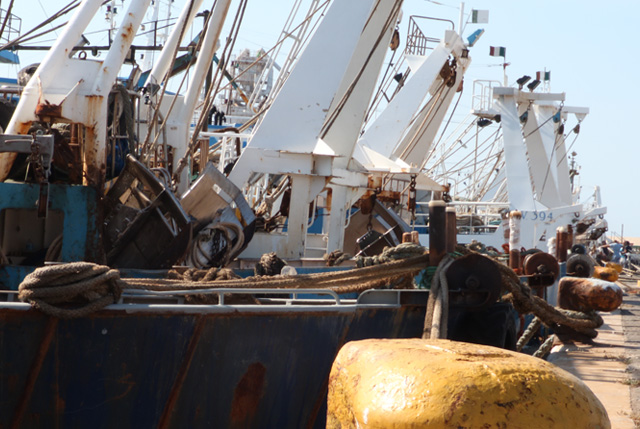 operatori di pesca acquacoltura