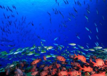 L’Europa sta fallendo nell’implementazione dell’Agenda delle Nazioni Unite al 2030