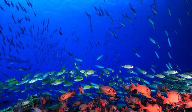 L’Europa sta fallendo nell’implementazione dell’Agenda delle Nazioni Unite al 2030