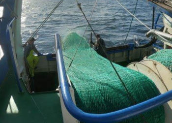 Nuovo accordo CIEM con DG Ambiente