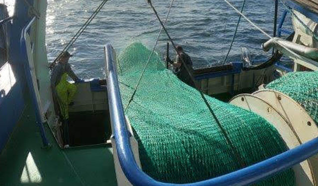 Nuovo accordo CIEM con DG Ambiente