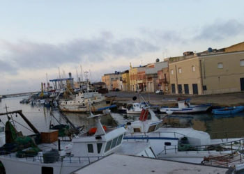 OP Organizzazione di Produttori della Pesca di Trapani