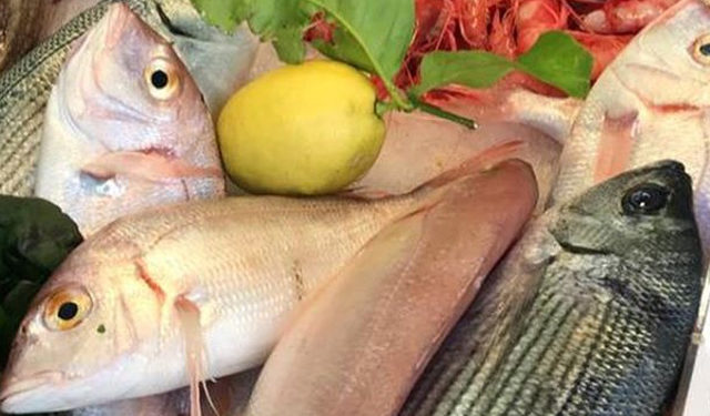 Dal 4 maggio riprenderà la pesca stagionale all’acciuga