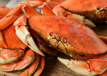 Vendite D2C tra le strategie per non affondare