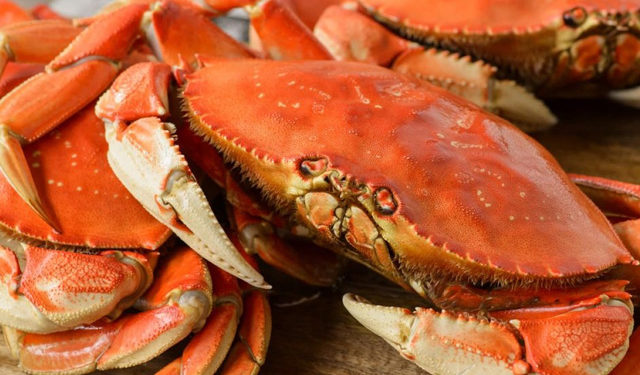 Vendite D2C tra le strategie per non affondare