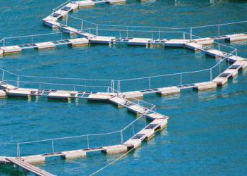 Guida per le buone pratiche ambientali nell'acquacoltura