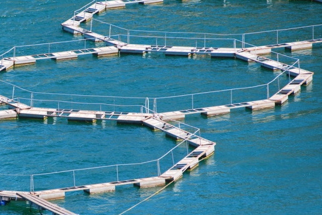 Guida per le buone pratiche ambientali nell'acquacoltura