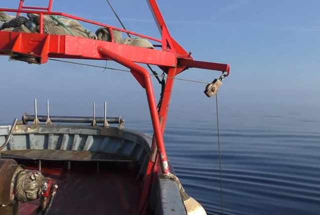 Indagine sull’incidenza dell’emergenza COVID-19 sulle attività di pesca