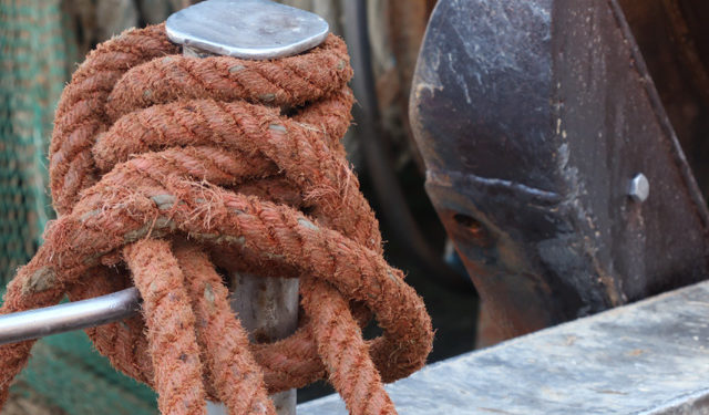 30 milioni di euro per credito immediato e a tasso zero