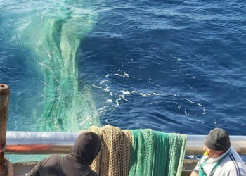 Pesca ANAPI Sicilia