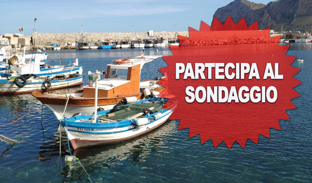 Partecipa al sondaggio pesca professionale Italia