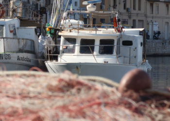 Il WWF segnala le difficoltà -e alcune soluzioni- di un settore chiave per molte comunità