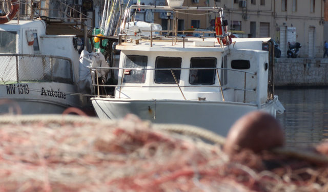 Il WWF segnala le difficoltà -e alcune soluzioni- di un settore chiave per molte comunità