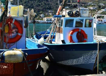 Ancora nessuna copertura salariale per la piccola pesca
