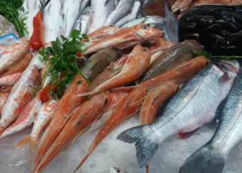 Pesca Toscana rischio imprese